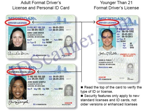 New_mi_drivers_license_front